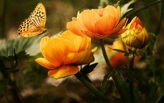 ¿Cómo sabemos si estamos progresando espiritualmente?