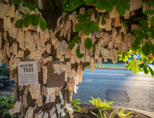 El árbol de los deseos de Osho